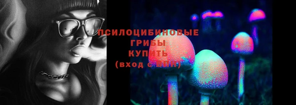 твердый Алексеевка