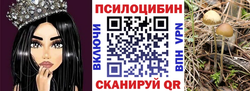 hydra маркетплейс как найти Каргат Галлюциногенные грибы GOLDEN TEACHER